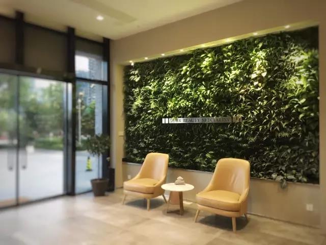 Promax 高端美容会所