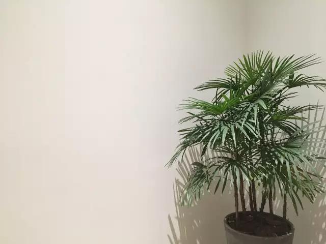 Promax 高端美容会所